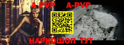 стафф Гудермес