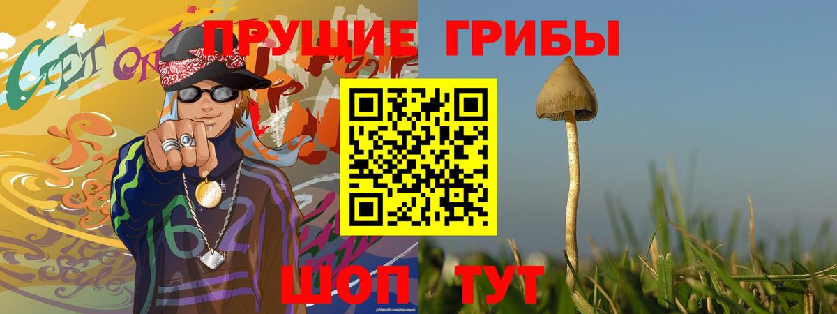 Псилоцибиновые грибы Psilocybine cubensis  Вход с VPN  Междуреченск 